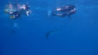 Kudafushi Resort