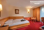 Kur & Sport Palace
