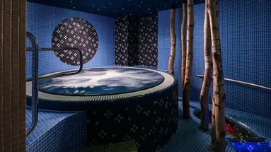 Kurhotel Smetana-Vysehrad