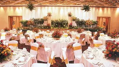 Kuta Paradiso