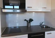 L'Altineige