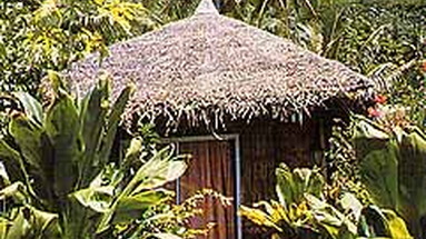 L'Hibiscus Tahaa