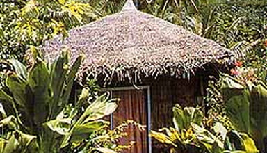 L'Hibiscus Tahaa