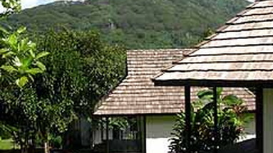 L'Hibiscus Tahaa