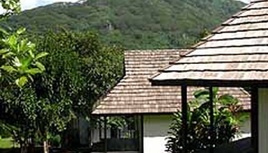 L'Hibiscus Tahaa