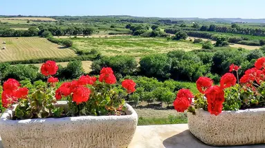La Corte del Sole