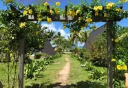 La Digue Island Lodge