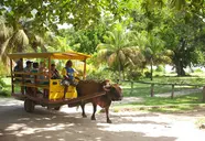 La Digue Island Lodge
