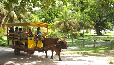 La Digue Island Lodge