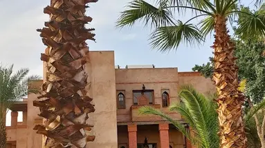 La Maison des Oliviers