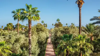 La Mamounia