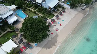 La Mariposa (La Preneuse)