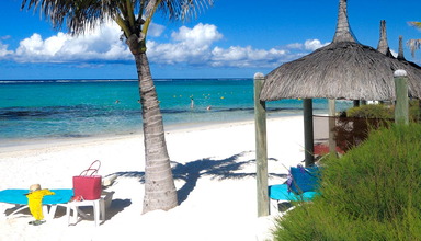 La Palmeraie (Le Palmar)