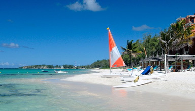 La Palmeraie (Le Palmar)
