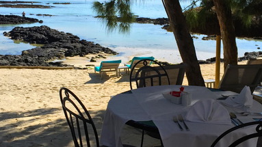 La Palmeraie (Le Palmar)