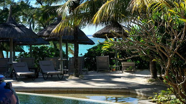 La Palmeraie (Le Palmar)