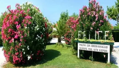 La Pigna
