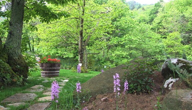 La Quercia