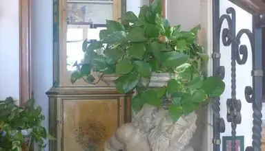 La Riva