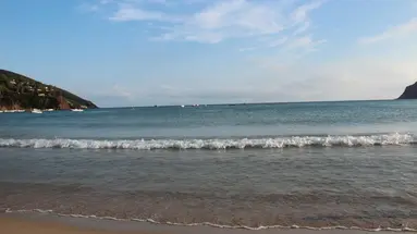 Lacona