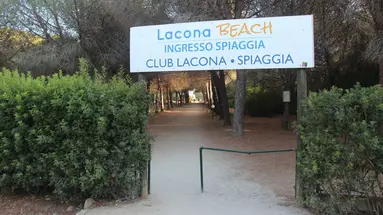 Lacona