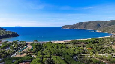Lacona