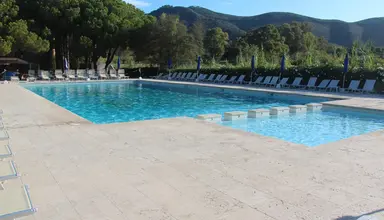 Lacona