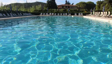 Lacona
