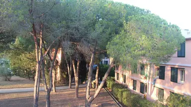 Lacona
