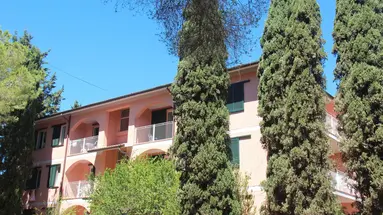 Lacona