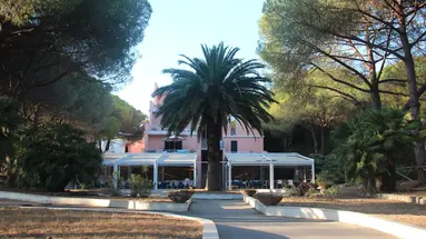 Lacona