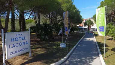 Lacona