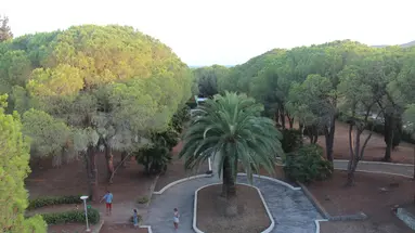 Lacona
