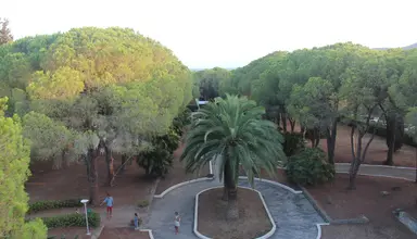 Lacona
