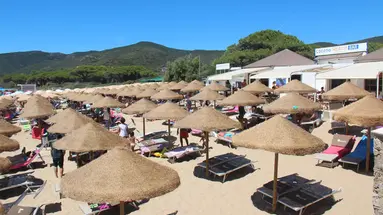 Lacona
