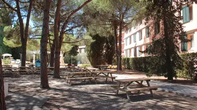 Lacona