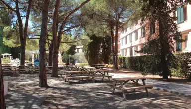 Lacona