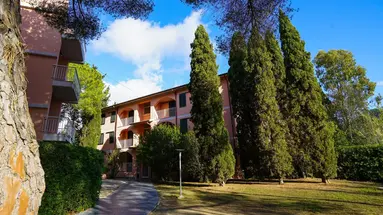 Lacona