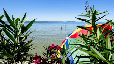 Laguna (Privlaka)