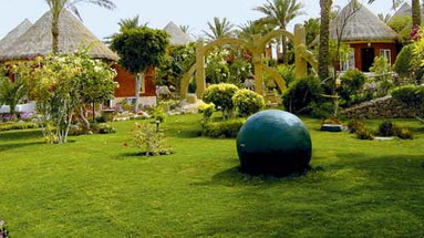 Laguna Vista Garden