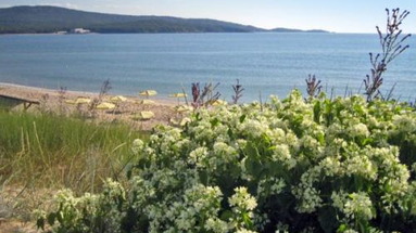 Laguna Zara