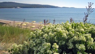 Laguna Zara