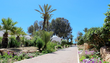 Laico Djerba