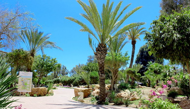 Laico Djerba