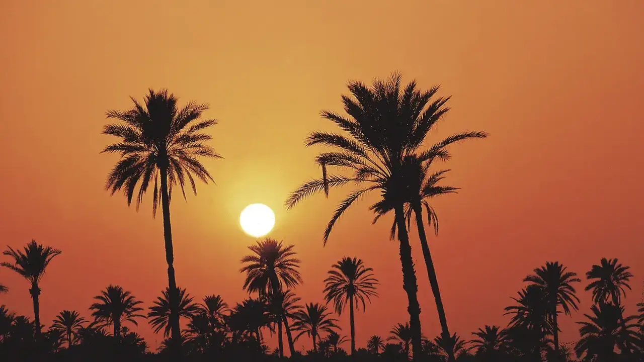 Laico Djerba
