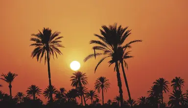 Laico Djerba