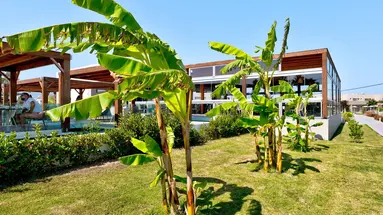Lambi Resort