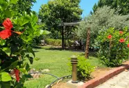 Lapida