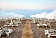 Lara Barut Collection