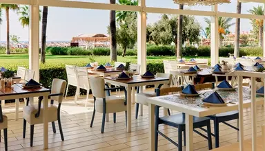 Lara Barut Collection